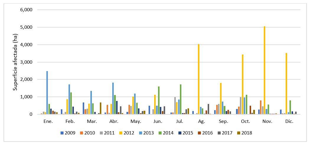 Gráfico, Gráfico de barras

Descripción generada automáticamente