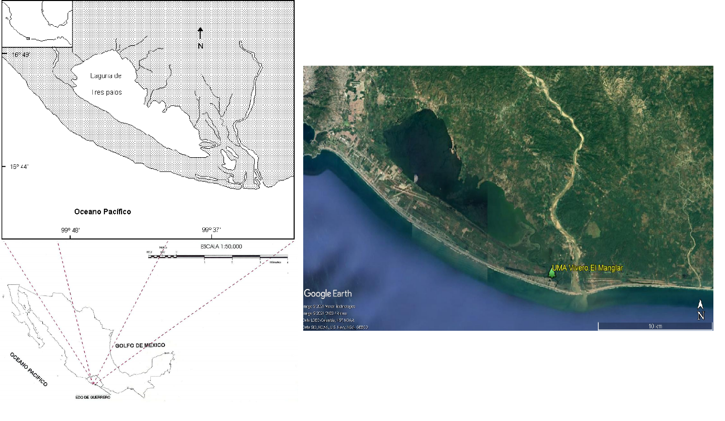 F:\INVESTIGACIÓN CIENTÍFICA Benjamín\PARA PUBLICAR\REVISTAS REGISTRADAS EN CONACYT\REVISTA MEXICANA DE CIENCIAS FORESTALES INIFAP\Area de estudio_dpi.png