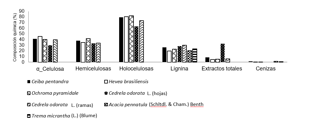 Texto

Descripción generada automáticamente