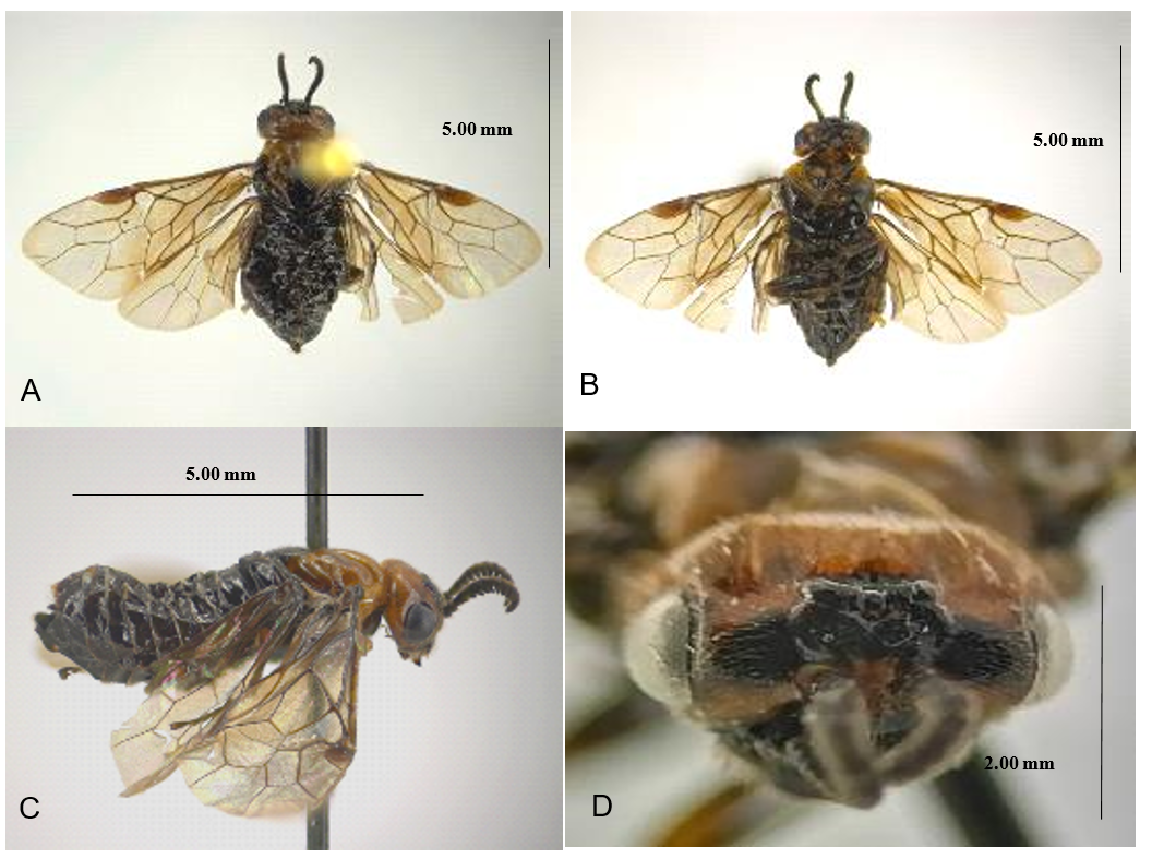 Sitio web

Descripción generada automáticamente