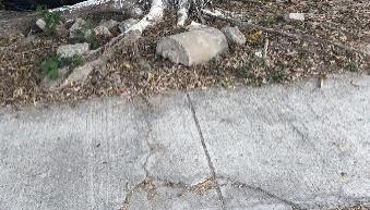 Imagen que contiene exterior, roca, rocoso, piedra

Descripción generada automáticamente