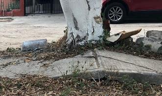 Imagen que contiene exterior, edificio, pasto, viejo

Descripción generada automáticamente