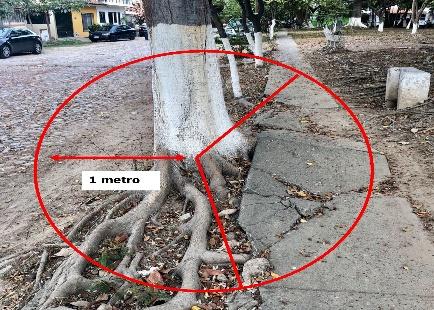 Imagen que contiene perro

Descripción generada automáticamente