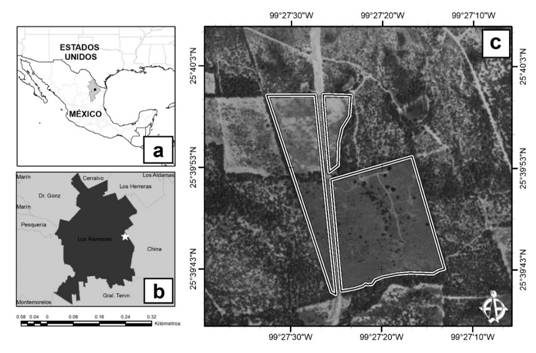 Imagen que contiene Diagrama    Descripción generada automáticamente