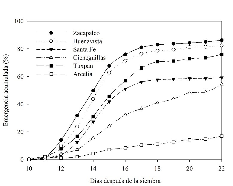 Gráfico, Diagrama  Descripción generada automáticamente