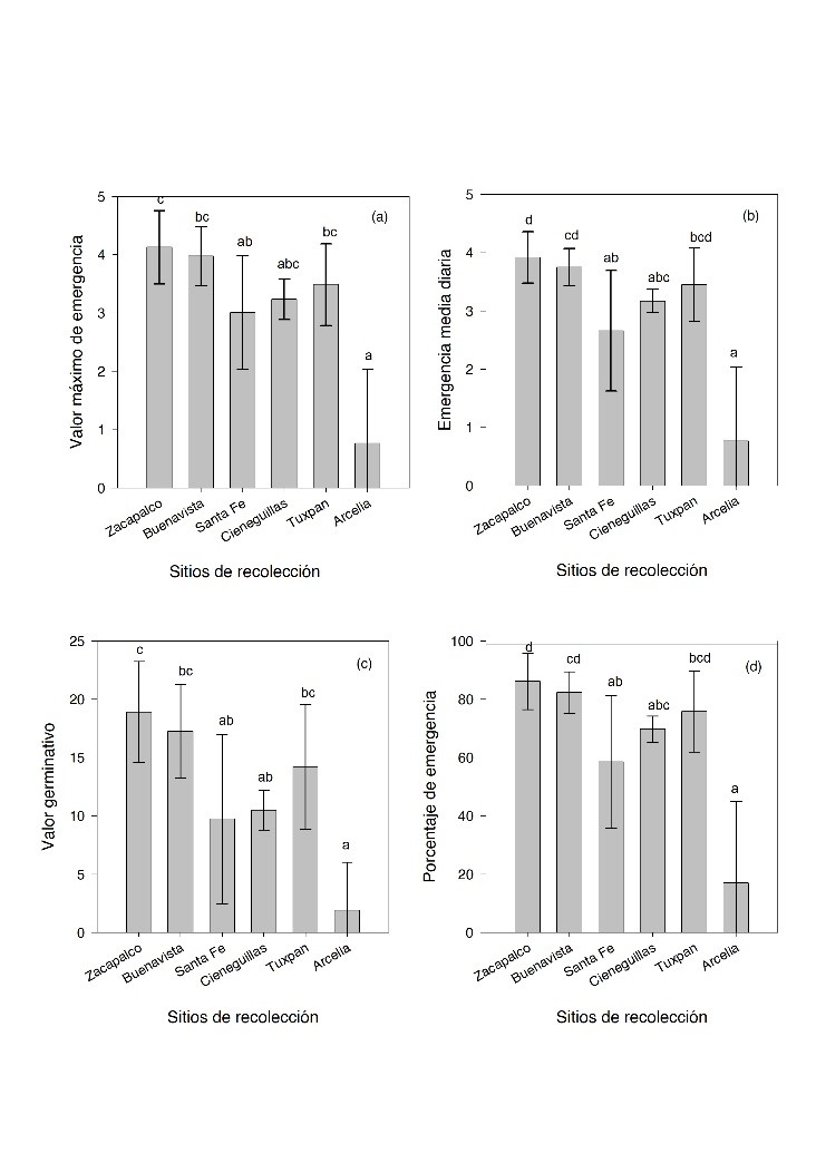 Diagrama  Descripción generada automáticamente