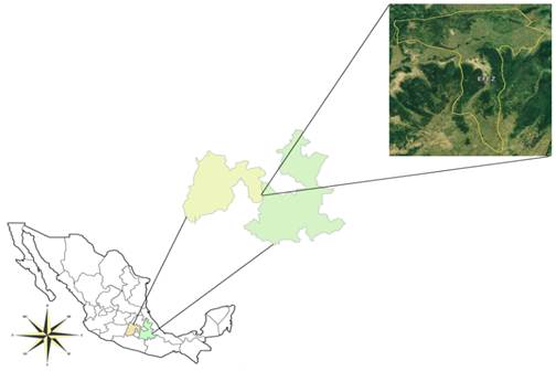 Diagrama  Descripción generada automáticamente