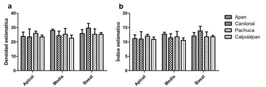 Diagrama  Descripción generada automáticamente