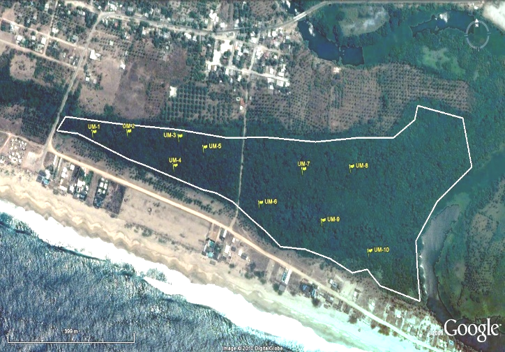 F:\RESPALDO TESIS DOCTORADO\TESIS DOCTORADO CIEN.AMB.-UCDR\OBJETIVOS TESIS\DEN-AB-DIV\resultados\PARA RESULTADOS TESIS\UBICACIÓN DE UNIDADES DE MUETREO MANGLAR.jpg