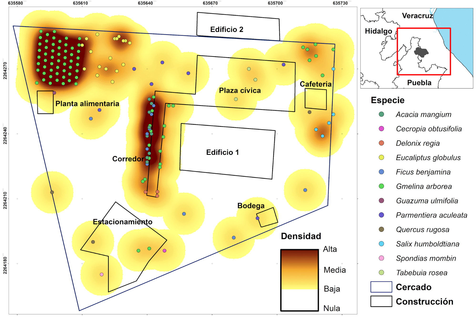 C:\Users\comef\Downloads\Figura 3 (1).gif