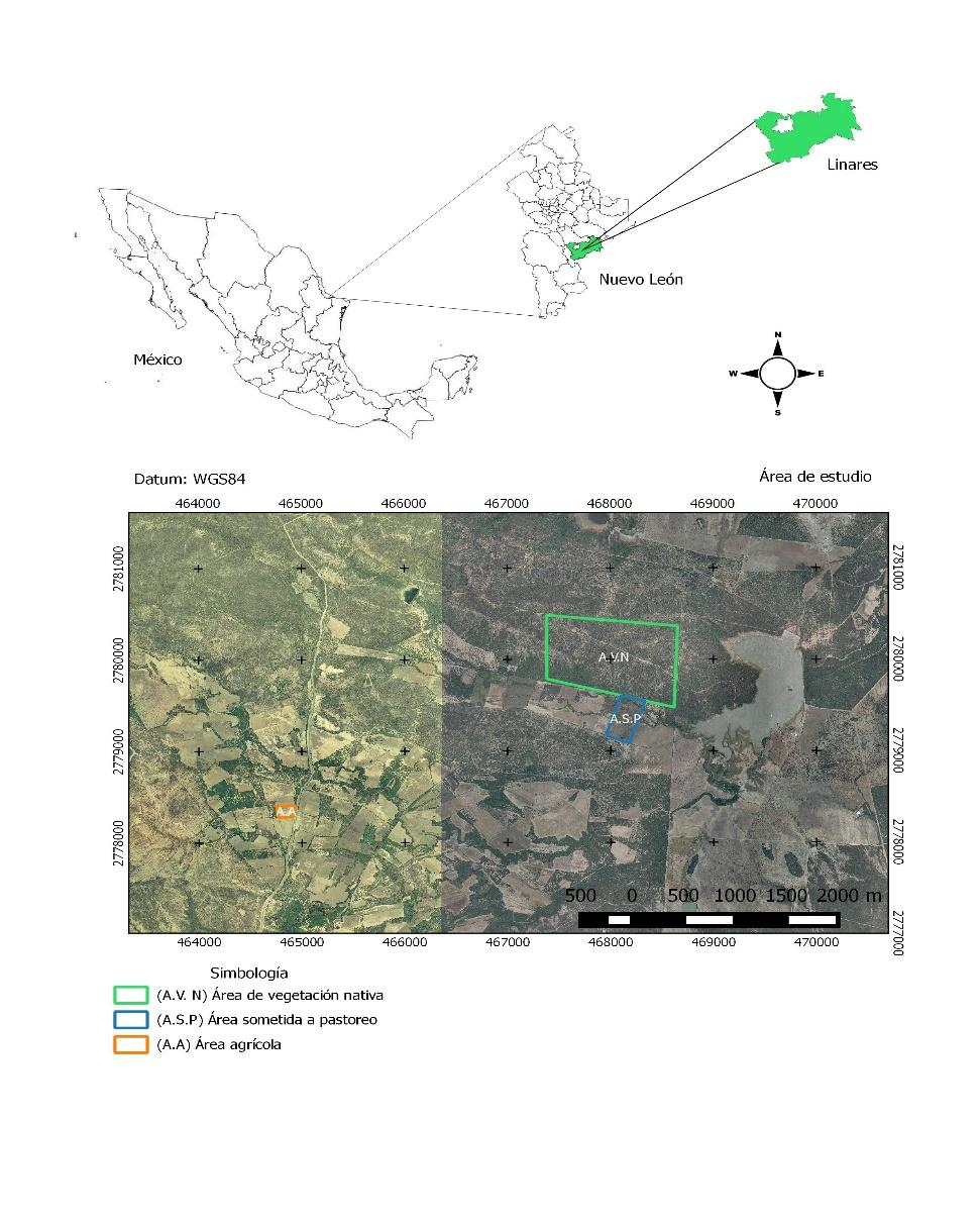 C:\Users\Israel Cantu\Downloads\OPCION 2 MAPA.jpg