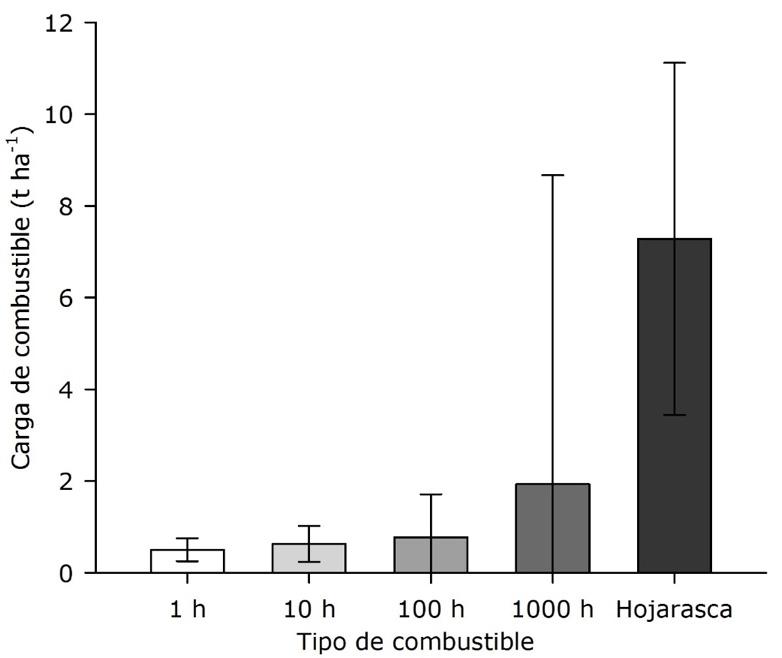 C:\Users\LÓPEZ\Documents\Articulos\Articulo BCP\CPT RMCF.JPG