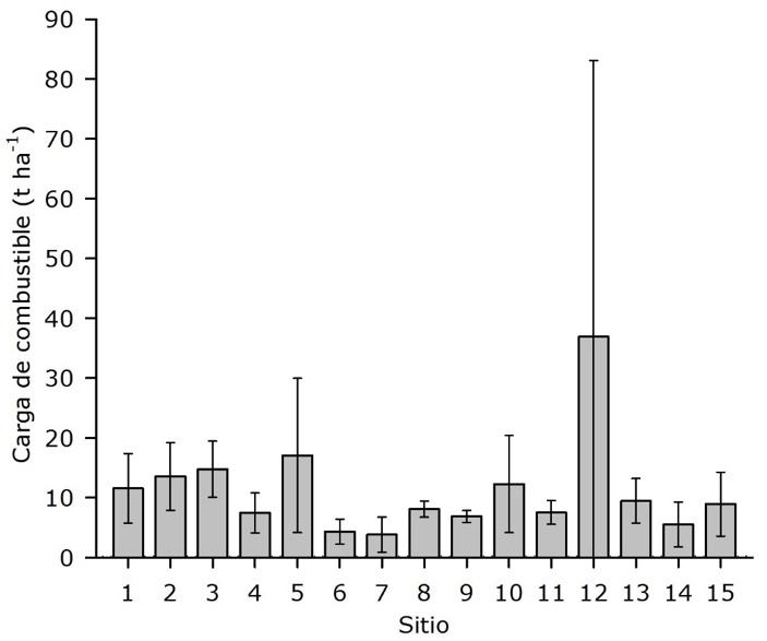 C:\Users\LÓPEZ\Documents\Articulos\Articulo BCP\CT RMCF.JPG