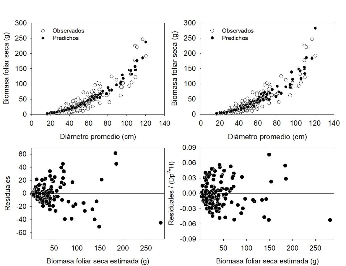 FIGS ARTICULO corregida