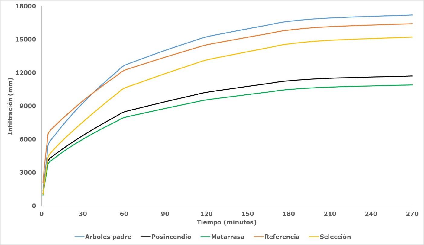 C:\Users\eranr\AppData\Local\Temp\infiltracion acumulada600.jpg
