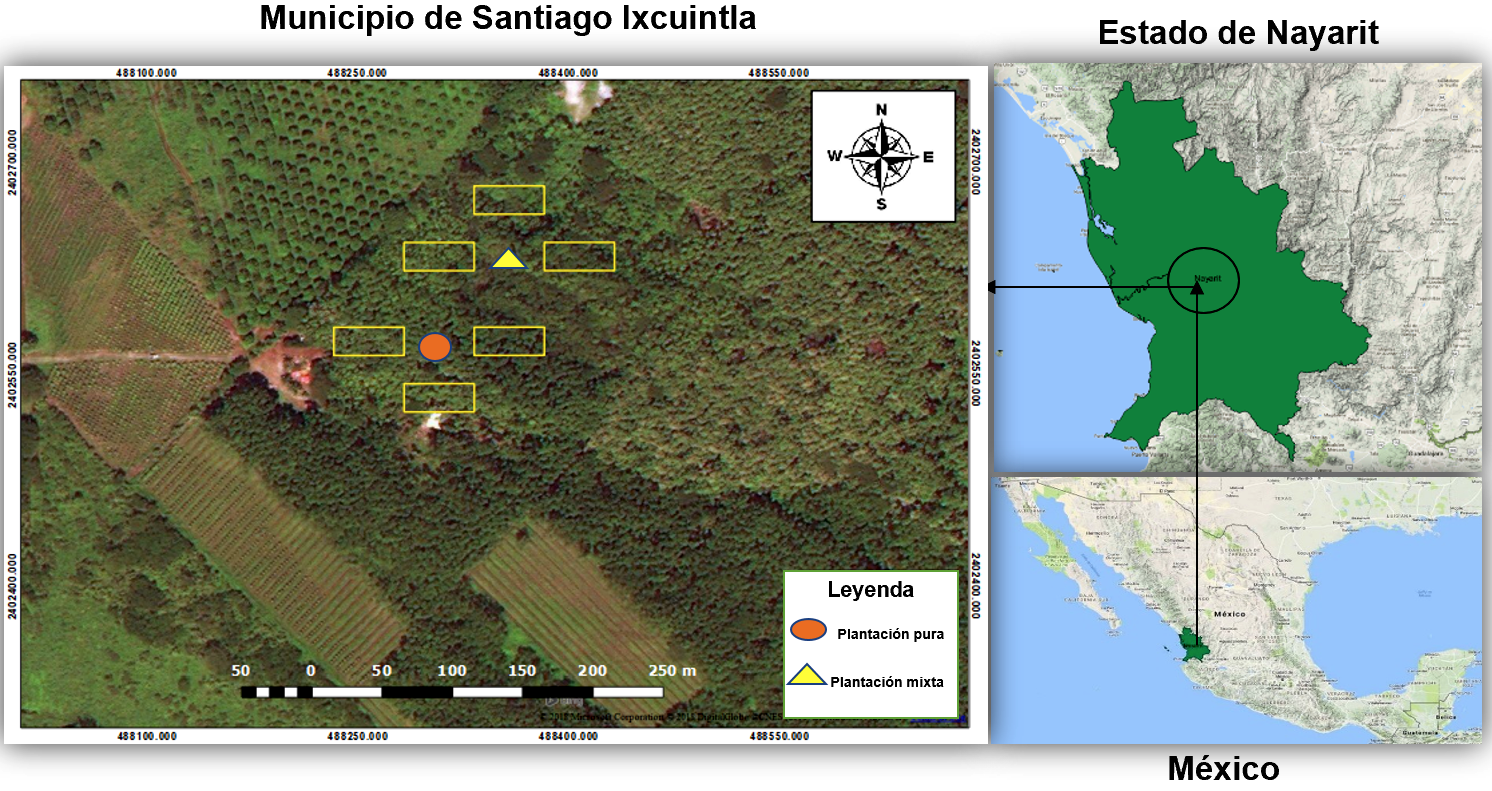 \\.psf\Home\Desktop\Captura de Pantalla 2020-01-26 a la(s) 5.40.14.png