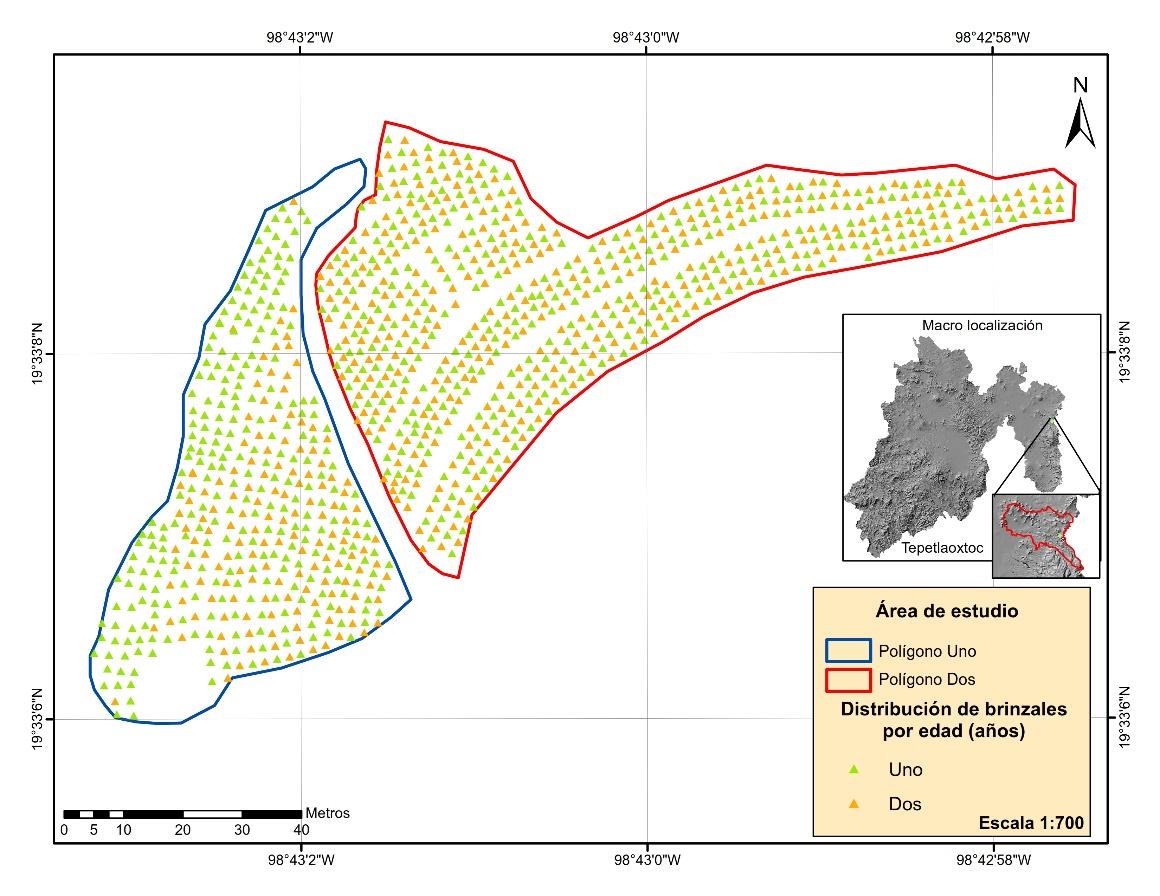 C:\Users\IMTA\Downloads\Distribucion por edad_001.jpg