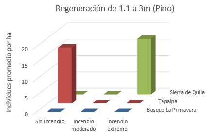 Gráfico, Gráfico de barras



Descripción generada automáticamente