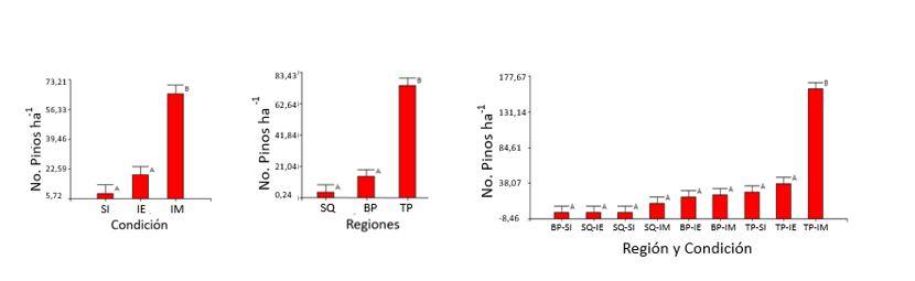 Gráfico, Gráfico de barras



Descripción generada automáticamente