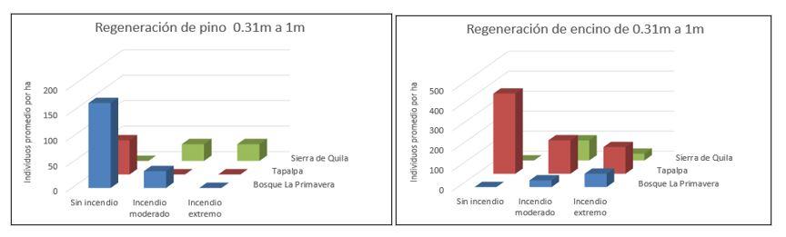 Interfaz de usuario gráfica, Aplicación



Descripción generada automáticamente