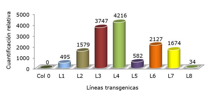 Gráfico, Gráfico de barras



Descripción generada automáticamente