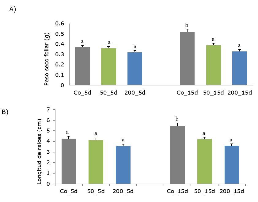 Gráfico, Gráfico de barras



Descripción generada automáticamente