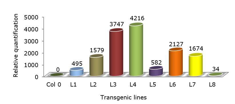 Gráfico, Gráfico de barras



Descripción generada automáticamente