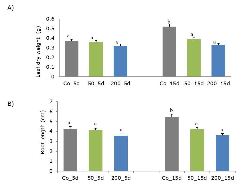 Gráfico, Gráfico de barras



Descripción generada automáticamente