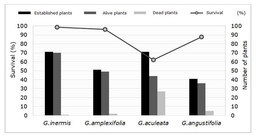 Gráfico



Descripción generada automáticamente con confianza baja