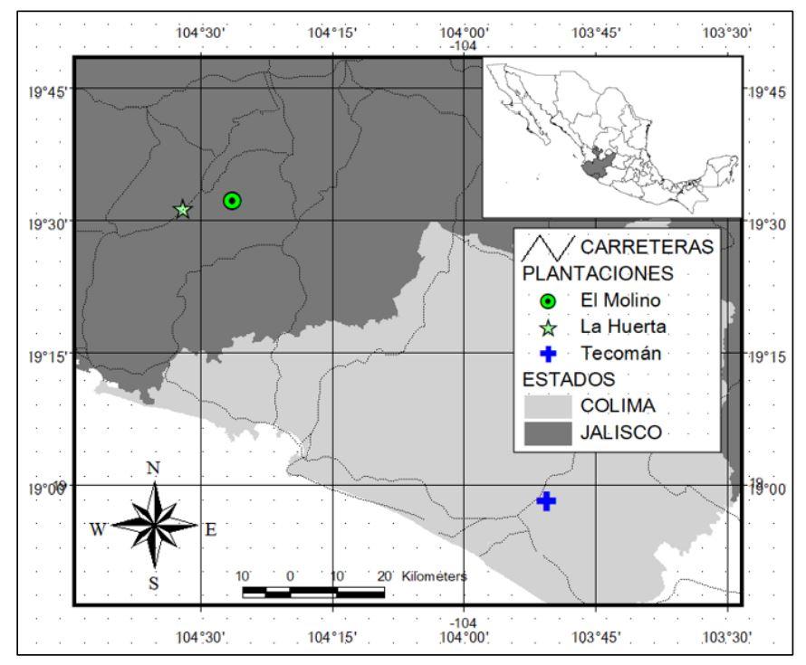 Diagrama, Dibujo de ingeniería



Descripción generada automáticamente
