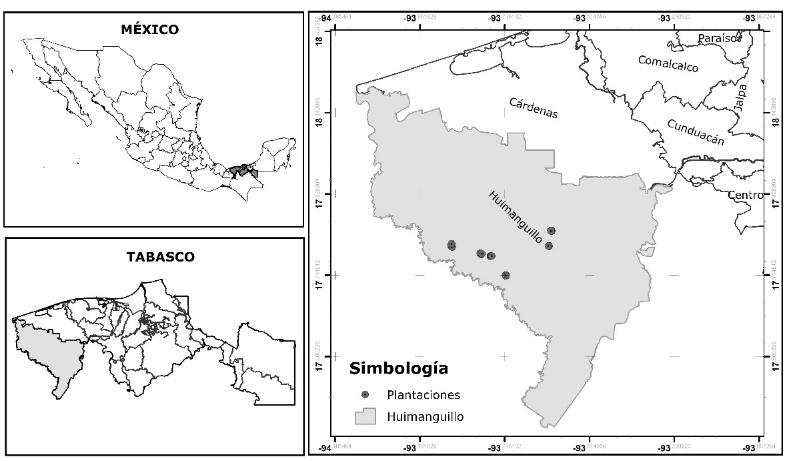 E:\INIFAP_3733\Adrian_hernandez\COLABORACION\2020\ARTICULOS\IAF_EUCALYPTUS\REVISTA_INIFAP\FIGURA_1\FIGURA 1.jpg