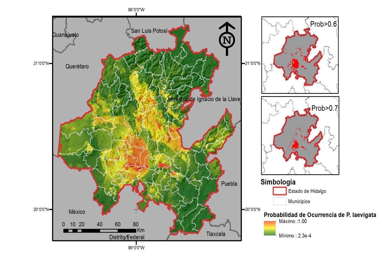 propopys_hgo_bueno_b_final