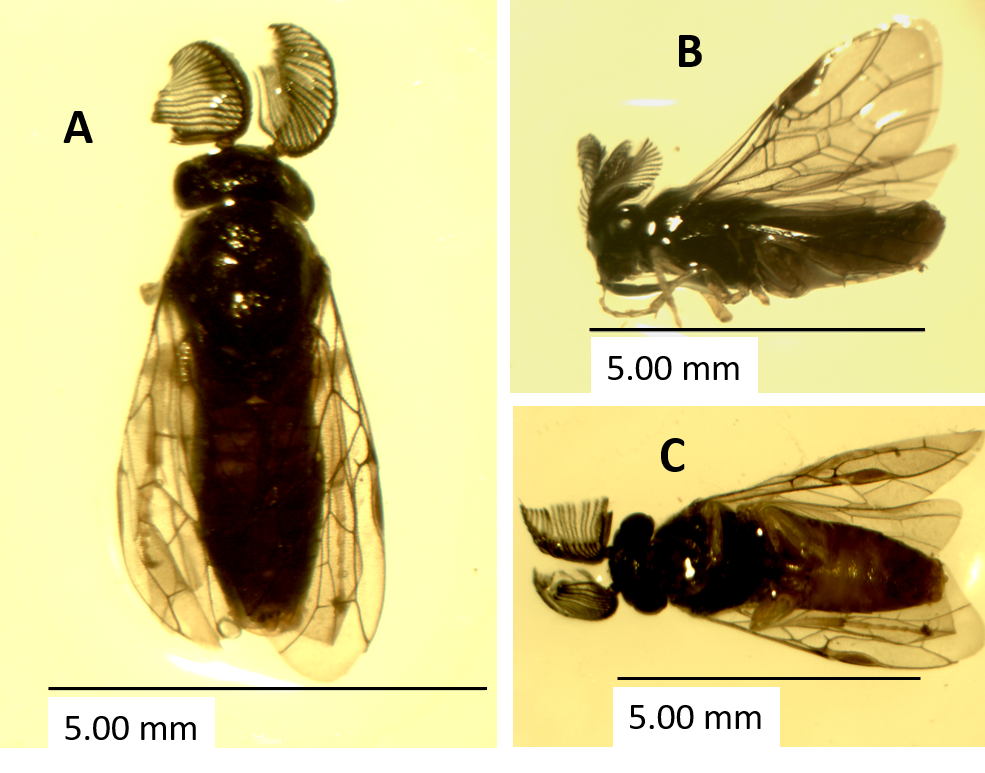Imagen que contiene interior, animal, vino, diferente



Descripción generada automáticamente