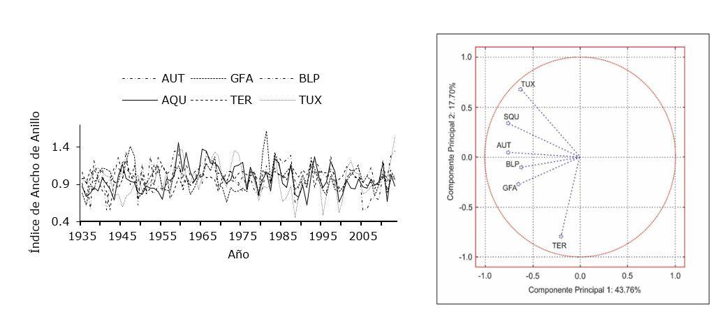 Diagrama, Dibujo de ingeniería



Descripción generada automáticamente