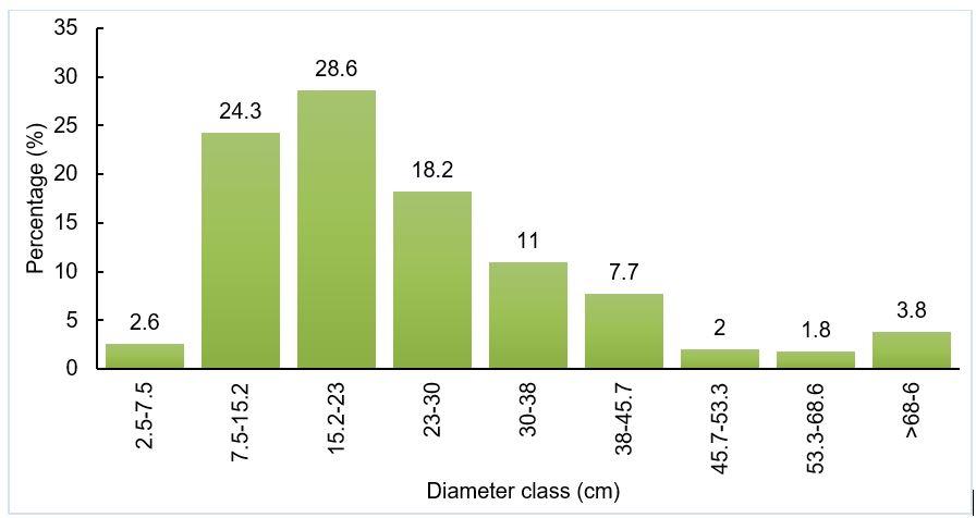 Gráfico, Gráfico de barras, Histograma

Descripción generada automáticamente