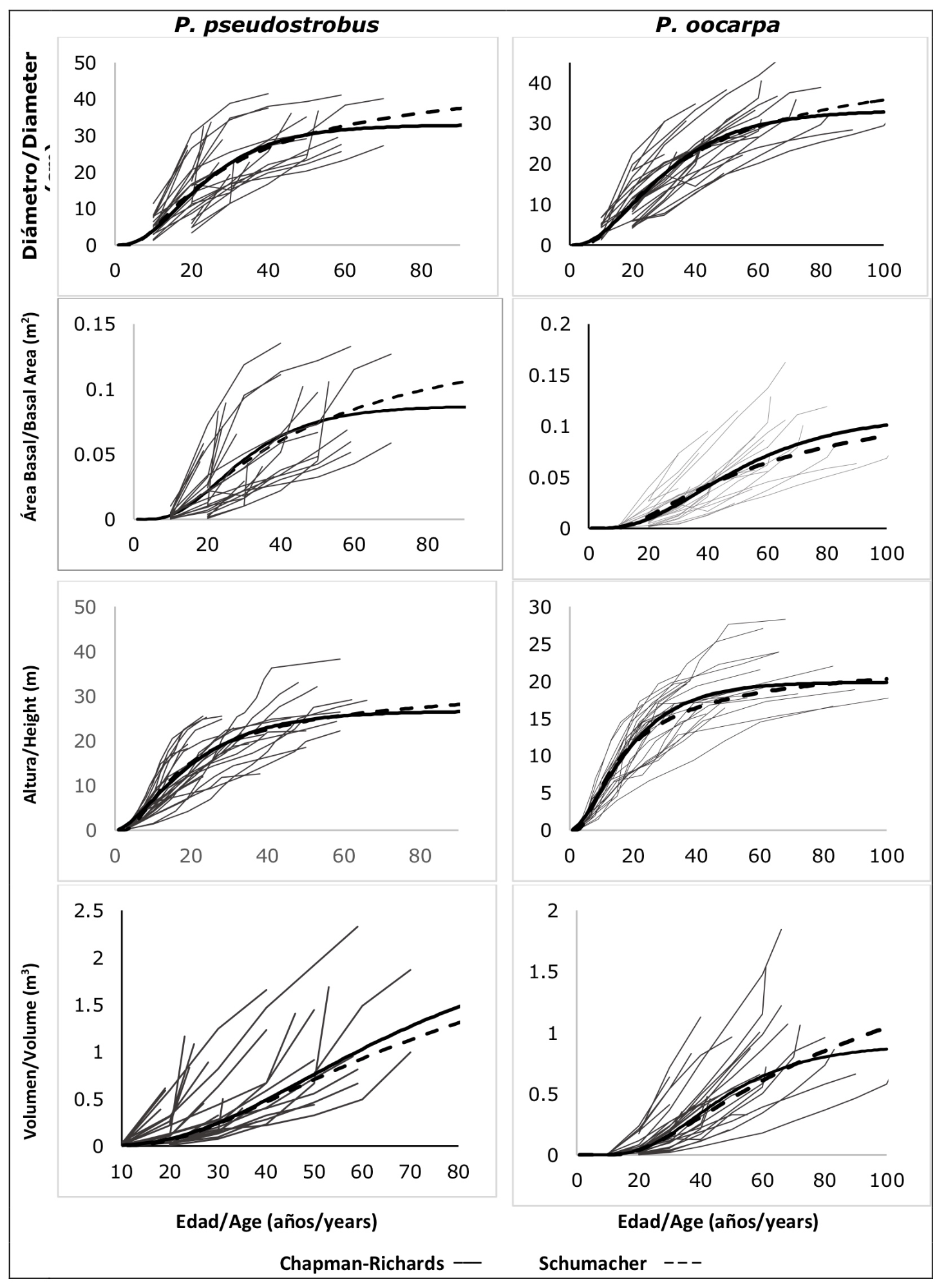 Diagrama

Descripción generada automáticamente
