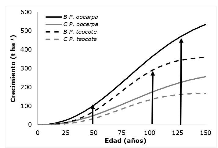 Gráfico

Descripción generada automáticamente