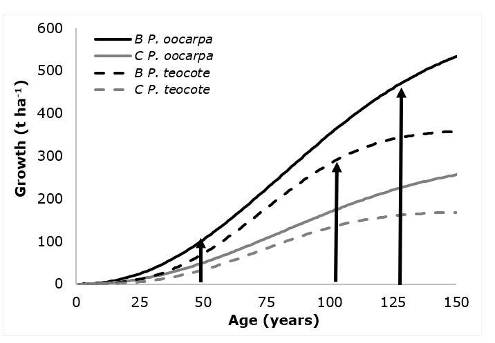 Diagrama

Descripción generada automáticamente