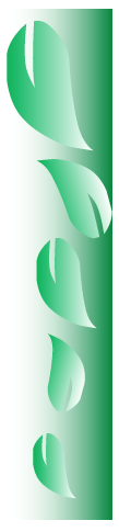 Logotipo, nombre de la empresa

Descripción generada automáticamente