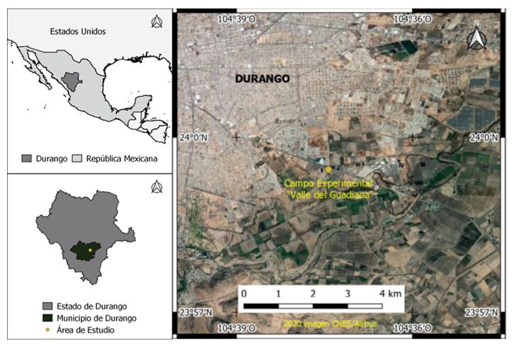 Localización del sitio de establecimiento del ensayo en el Campo experimental Valle de Guadiana (CEVAG) del INIFAP.